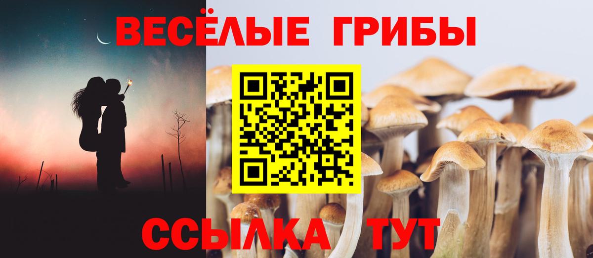 Галлюциногенные грибы MAGIC MUSHROOMS  даркнет сайт  Михайловск  Вход с VPN 